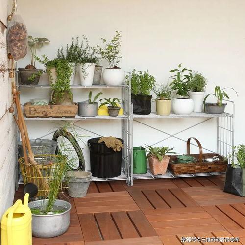 网红宿舍绿植植物,打造清新自然的小天地”