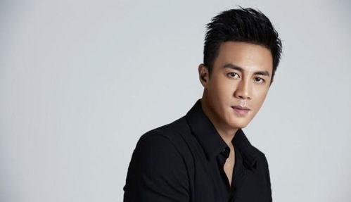 帅哥明星有,揭秘帅哥明星的星光之路