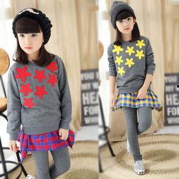 湖州启明星,点亮未来科技之光