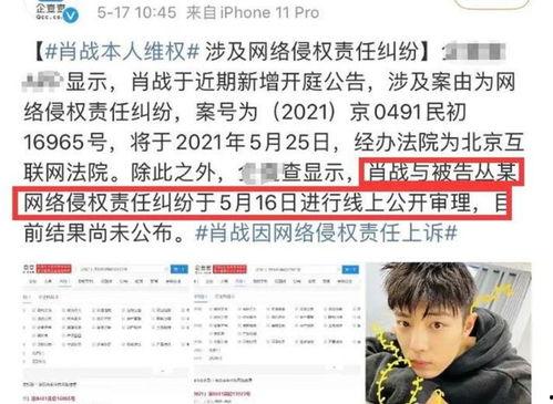 明星起诉公司,起诉公司背后的真相与挑战