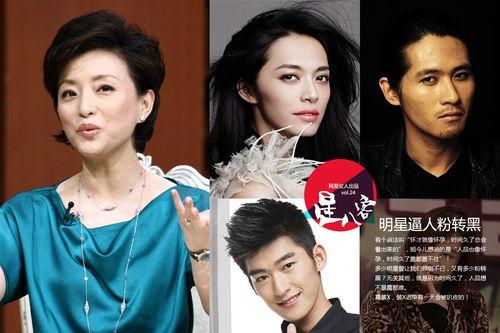 明星x粉小说,明星x粉的甜蜜邂逅