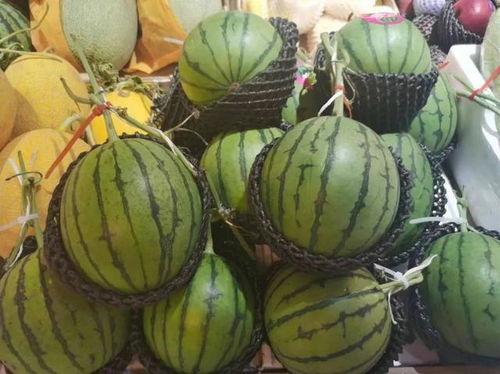 上饶铁中吃瓜事件,校园风波背后的真相与反思