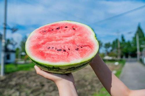 吃瓜打卡地,吃瓜群众的美食天堂