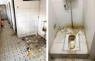 偃师网红厕,探寻偃师厕所的逆袭之路