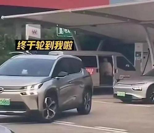 新能源吃瓜,吃瓜群众眼中的绿色变革