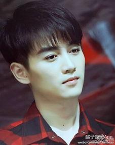 大橘子男明星,魅力四溢的影视界新星