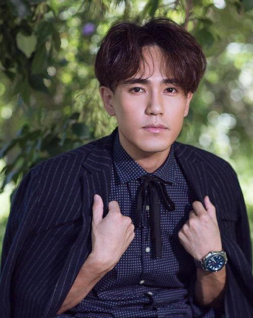 王子轩明星,星光璀璨的青春偶像