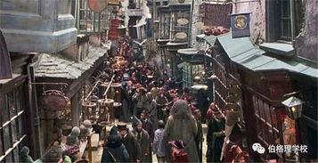 霍格沃茨麻瓜研究院老师