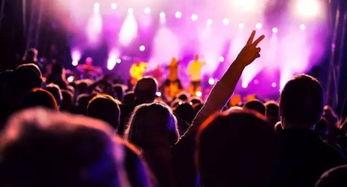 广西音乐节爆料最新消息,狂欢阵容揭晓，精彩亮点抢先看！