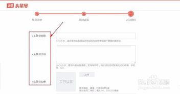 头条添加私人号怎么加,如何根据头条添加私人号，解锁个性化互动新方式