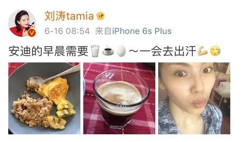 明星早餐哪家最好,品味美食，享受健康生活