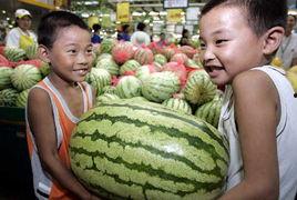 宁海最新吃瓜新闻视频,揭秘当地热门事件视频幕后真相